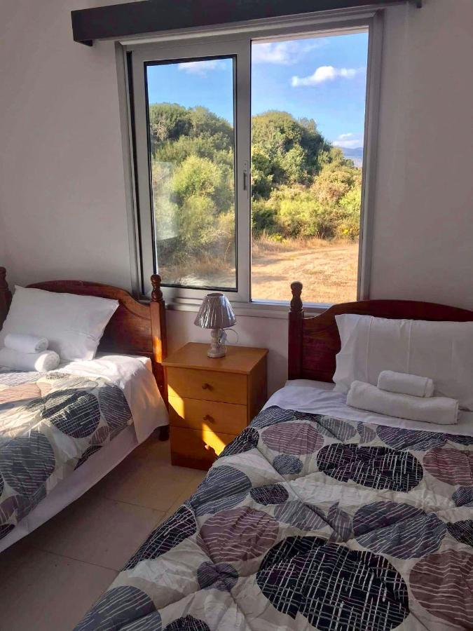 El Sueno Apartment Lachi Luaran gambar